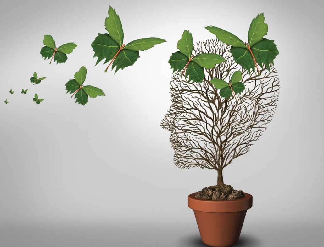 Contacto - Aprendiendo a amarme